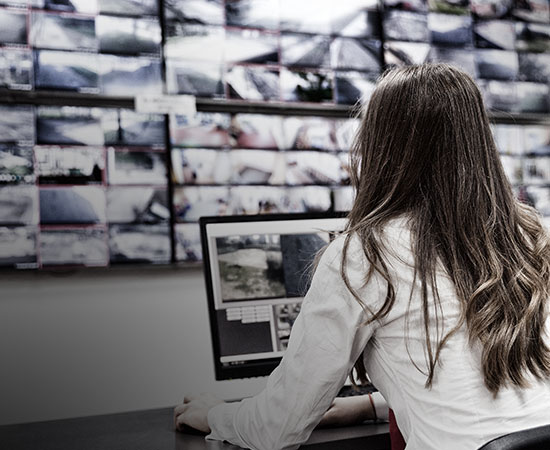 Traffic & Site Monitoring