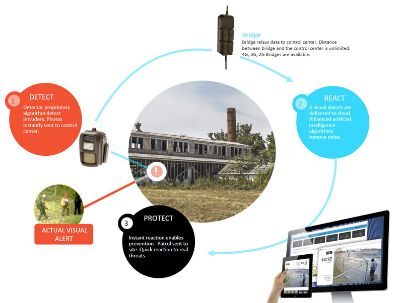 Advanced Intruder Detection – FRG DetectPlus