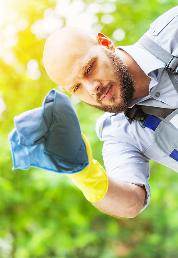 Integrated Service Solutions