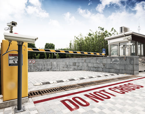 Evolves With Your Project