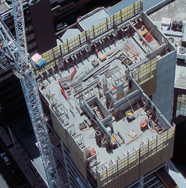 Expert Risk Assessment